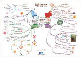 Mindmap executieve functies klein